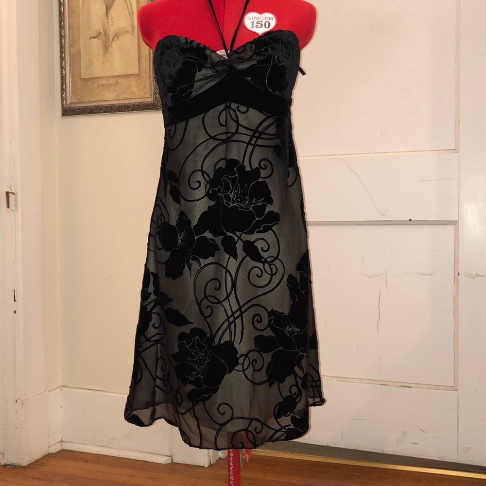 White House Black Market Velvet Burnout Dress